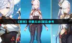 《原神》申鹤无冰C配队参考