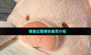 猪脑过载梗的意思介绍