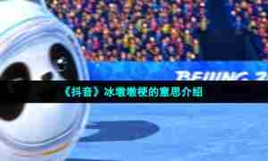 《抖音》冰墩墩梗的意思介绍