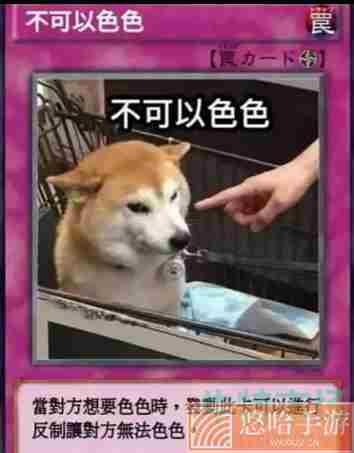 柴犬色色卡梗的意思介绍