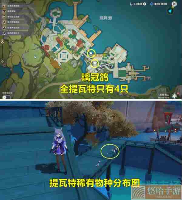 《<a href=https://www.wxsxzz.cn/game/627.html target=_blank class=infotextkey>原神</a>》璃冠鸽所在位置介绍