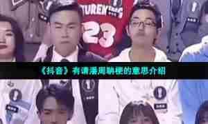 《抖音》有请潘周聃梗的意思介绍