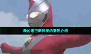 我的哑巴新郎梗的意思介绍