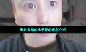 诡计多端的小芳梗的意思介绍