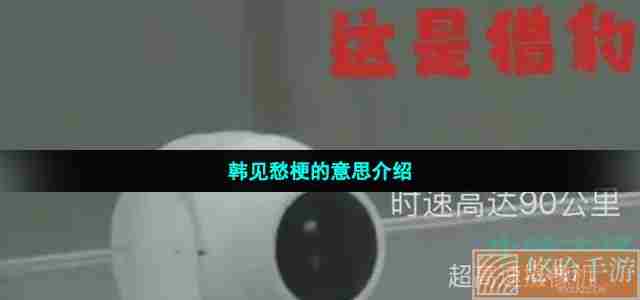 韩见愁梗的意思介绍