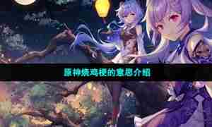 原神烧鸡梗的意思介绍