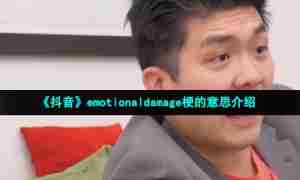 《抖音》emotionaldamage梗的意思介绍