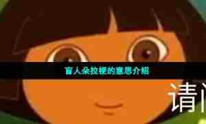 朵拉是瞎子梗的意思介绍