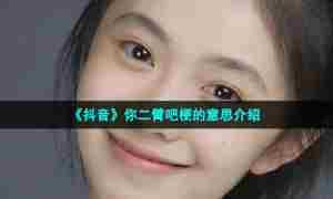 《抖音》你二臂吧梗的意思介绍