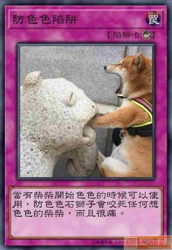 柴犬色色卡表情包大全