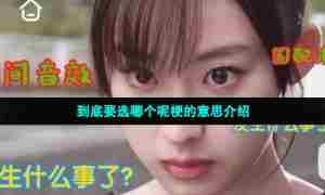 到底要选哪个呢梗的意思介绍