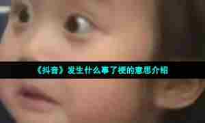 《抖音》发生什么事了梗的意思介绍