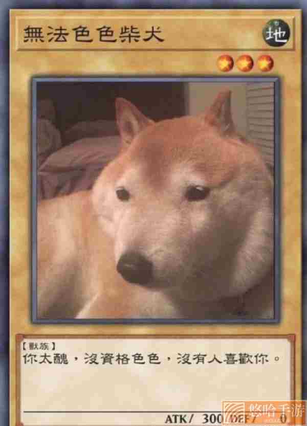 柴犬色色卡表情包大全