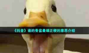 《抖音》谁的骨盆最端正梗的意思介绍