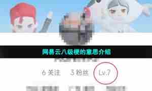 网易云八级梗的意思介绍