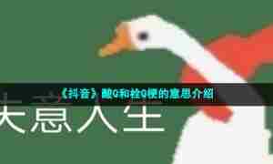 《抖音》酸Q和栓Q梗的意思介绍