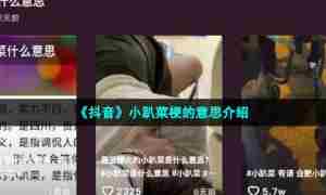 《抖音》小趴菜梗的意思介绍