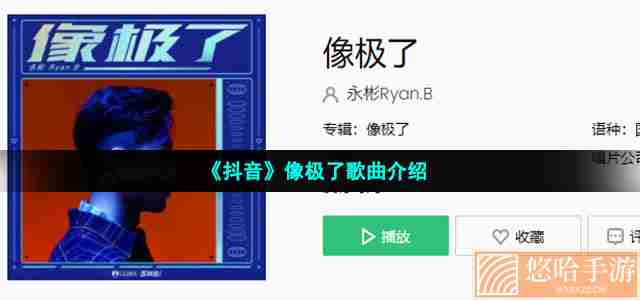 《抖音》像极了歌曲介绍