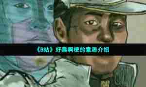 《B站》好臭啊梗的意思介绍