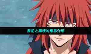原初之黑梗的意思介绍