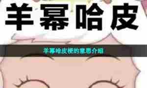 羊幂哈皮梗的意思介绍