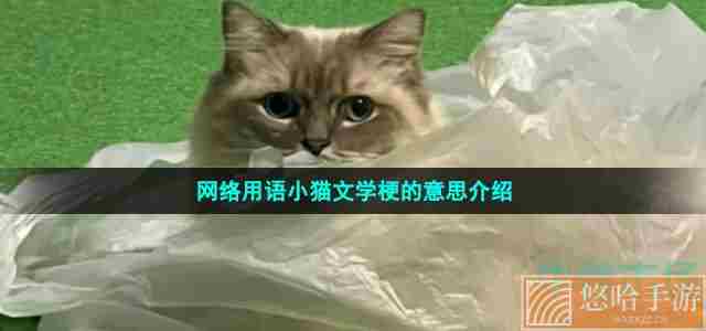 网络用语小猫文学梗的意思介绍