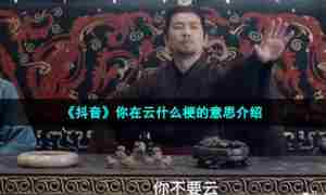 《抖音》你在云什么梗的意思介绍