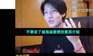 不要说了越描越紫梗的意思介绍