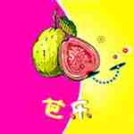 夜里一个人想看b站的app推荐