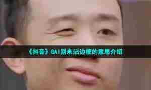 《抖音》GAI别来沾边梗的意思介绍