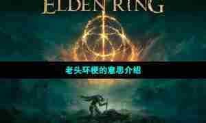 老头环梗的意思介绍