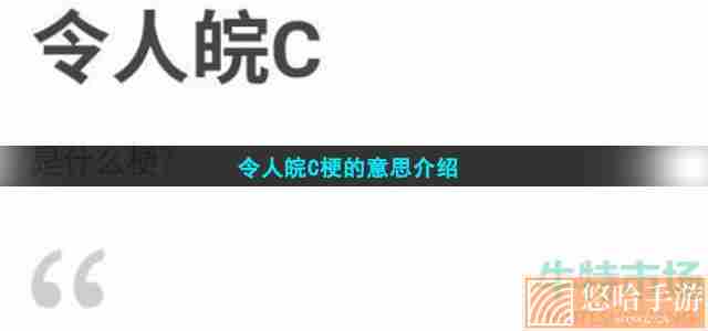 令人皖C梗的意思介绍