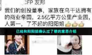 已经和阳阳姐确认过了梗的意思介绍