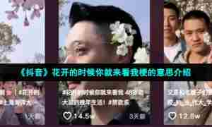 《抖音》花开的时候你就来看我梗的意思介绍