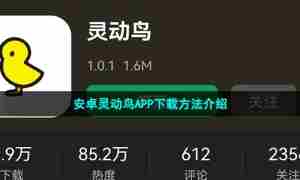 安卓灵动鸟APP下载方法介绍