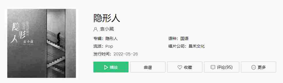 《抖音》隐形人歌曲介绍
