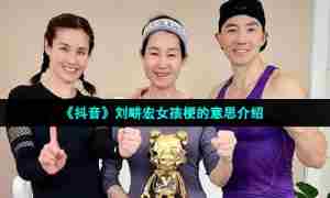 《抖音》刘畊宏女孩梗的意思介绍