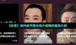 《抖音》我叫赵甲第自我介绍梗的意思介绍