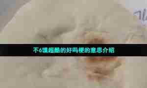 不6馍超酷的好吗梗的意思介绍