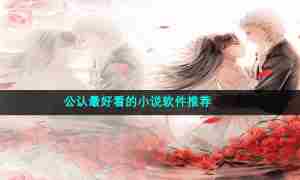 公认最好看的小说软件推荐