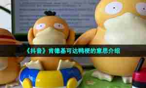 《抖音》肯德基可达鸭梗的意思介绍