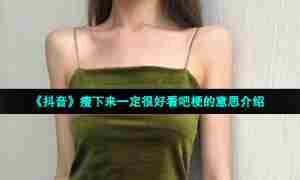 《抖音》瘦下来一定很好看吧梗的意思介绍