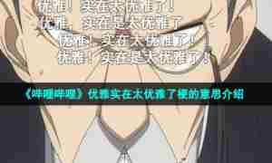 《哔哩哔哩》优雅实在太优雅了梗的意思介绍