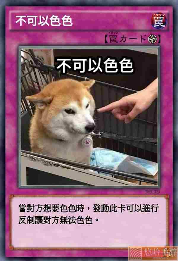 柴犬色色卡表情包大全