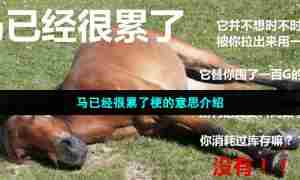 马已经很累了梗的意思介绍