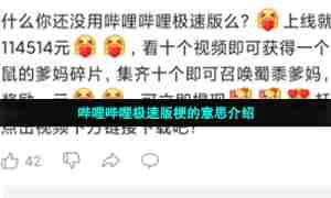 哔哩哔哩极速版梗的意思介绍