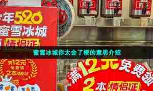 蜜雪冰城你太会了梗的意思介绍