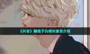 《抖音》赠我予白梗的意思介绍