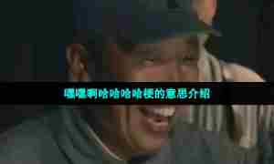 嘿嘿啊哈哈哈哈梗的意思介绍