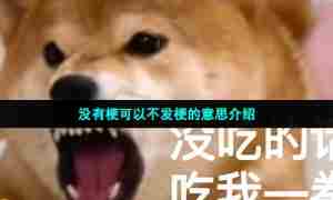 没有梗可以不发梗的意思介绍